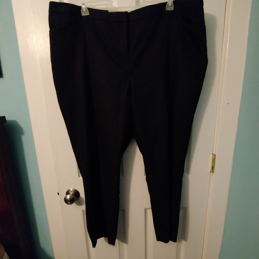Lane Bryant Dress Pant